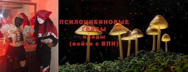 прущая мука Снежинск
